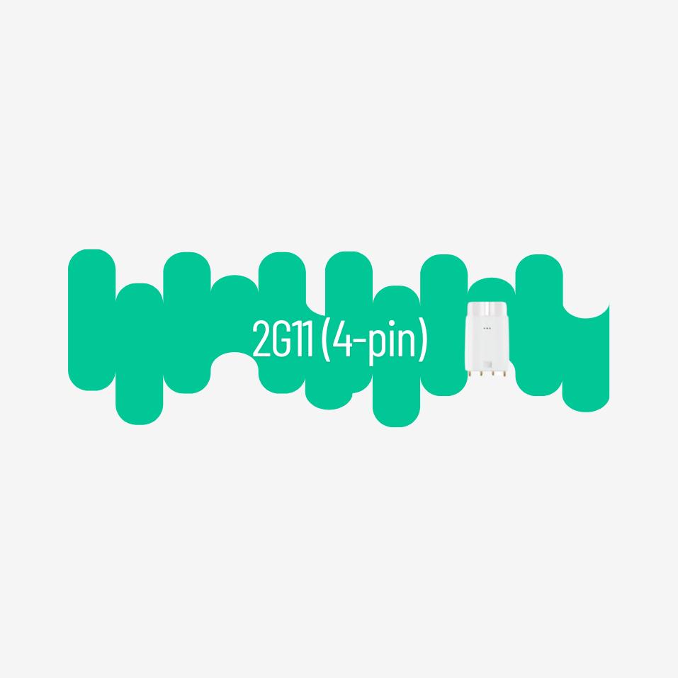 2G11 (4-pin)