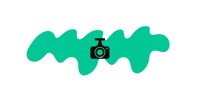 Dashcams