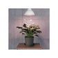 EGLO LED Vækstpære 16W 1200lm Hvid E27