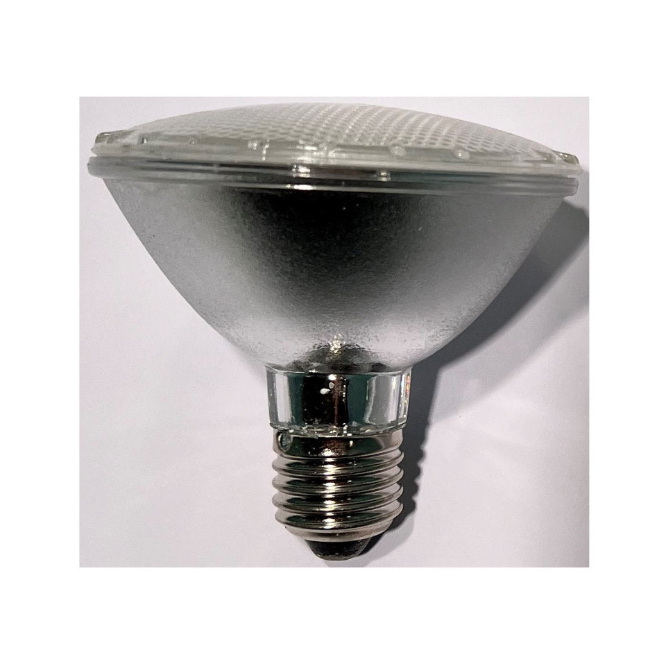 LED PAR30
