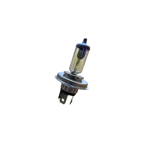 Bosch Autopære H4 60/55W 12V